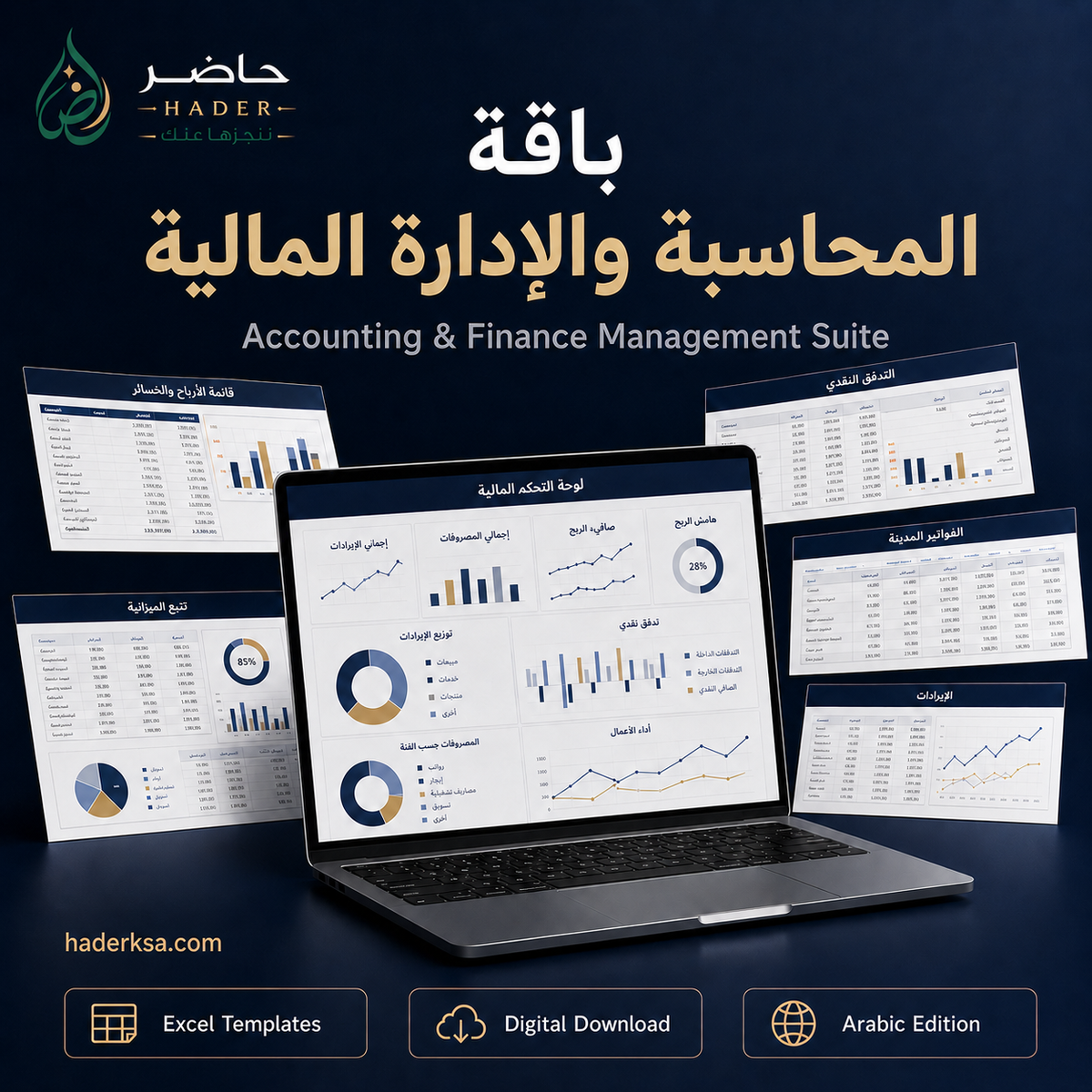 Present Accounting and Financial Management System - Professional Package